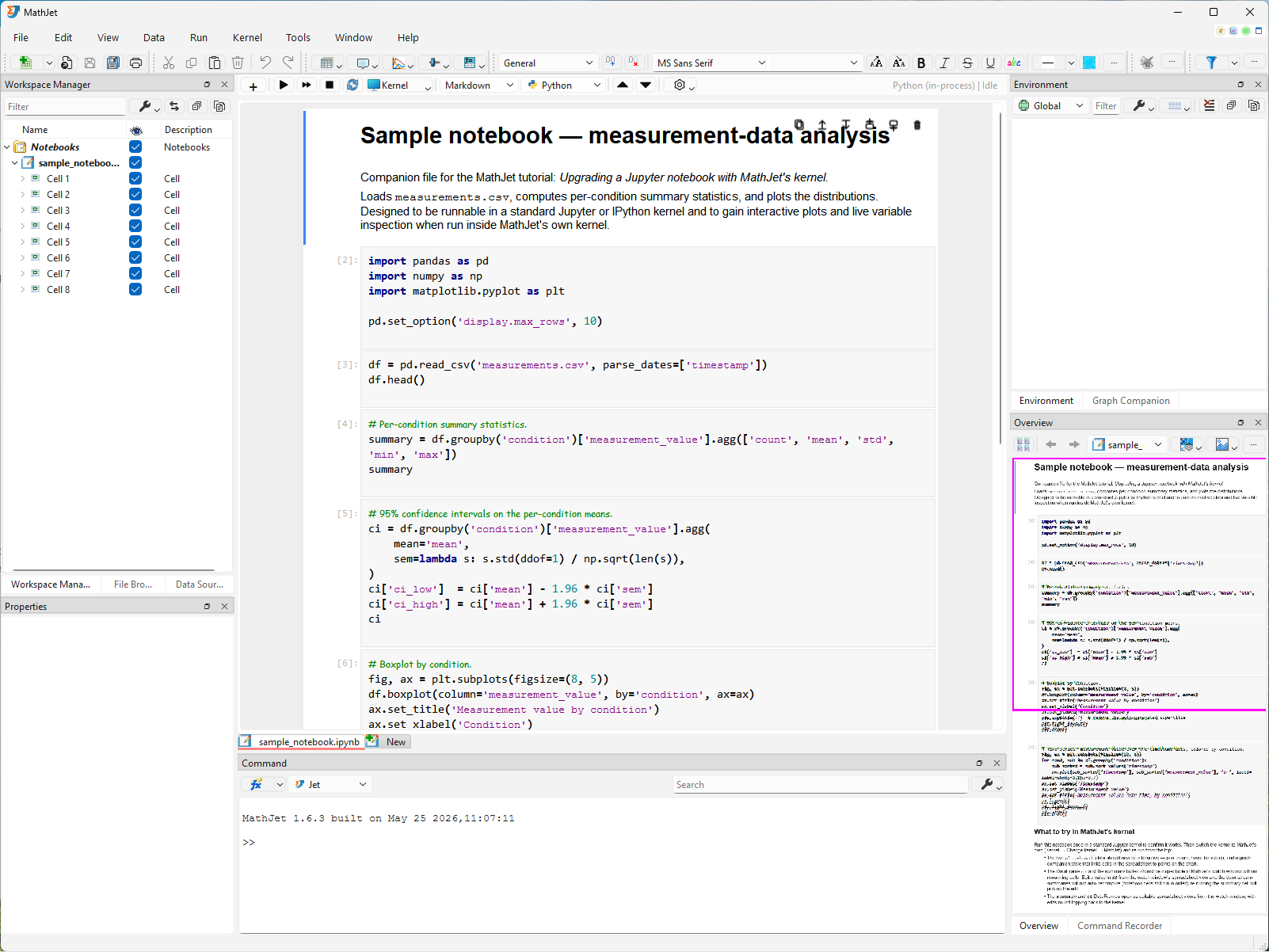 sample_notebook.ipynb open in MathJet's notebook editor view. The familiar vertical cell layout is visible: markdown cells rendered at the top with a title and description, code cells with syntax highlighting, and existing stored outputs from a previous Jupyter run (a printed summary table and two matplotlib figure images). The Workspace Manager on the left shows a tree view of all the notebook's cells; the Overview Pane at the lower-right shows a miniature overview of the entire notebook. The notebook's cell structure is identical to what Jupyter would show.