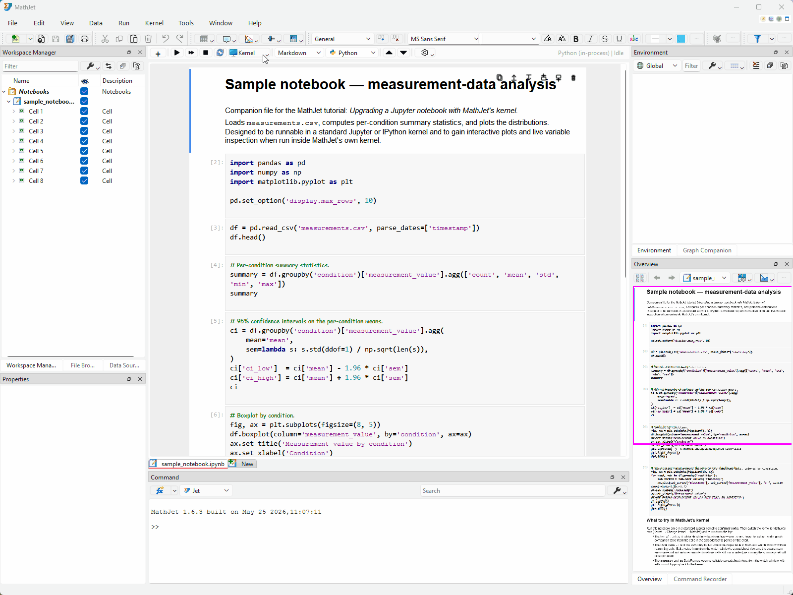 The notebook running on a standard Jupyter kernel. Cell outputs are visible: a printed text summary, a styled pandas DataFrame HTML table, and two static matplotlib PNG images. The kernel-status indicator shows the kernel's name. The behavior is identical to running the same notebook in Jupyter.