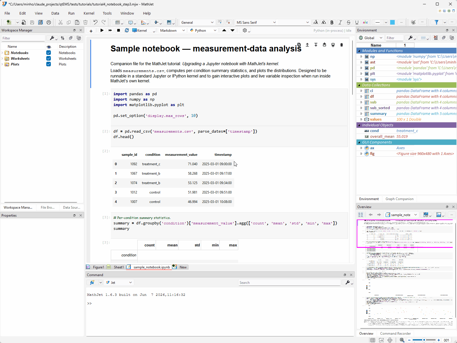 Double-clicking df in the Environment Pane opens the Variable Editor — a specialized spreadsheet tab showing the full DataFrame with column headers, index labels, and data rows. The Variable Editor tab sits alongside the notebook tab in the workspace's tab bar.