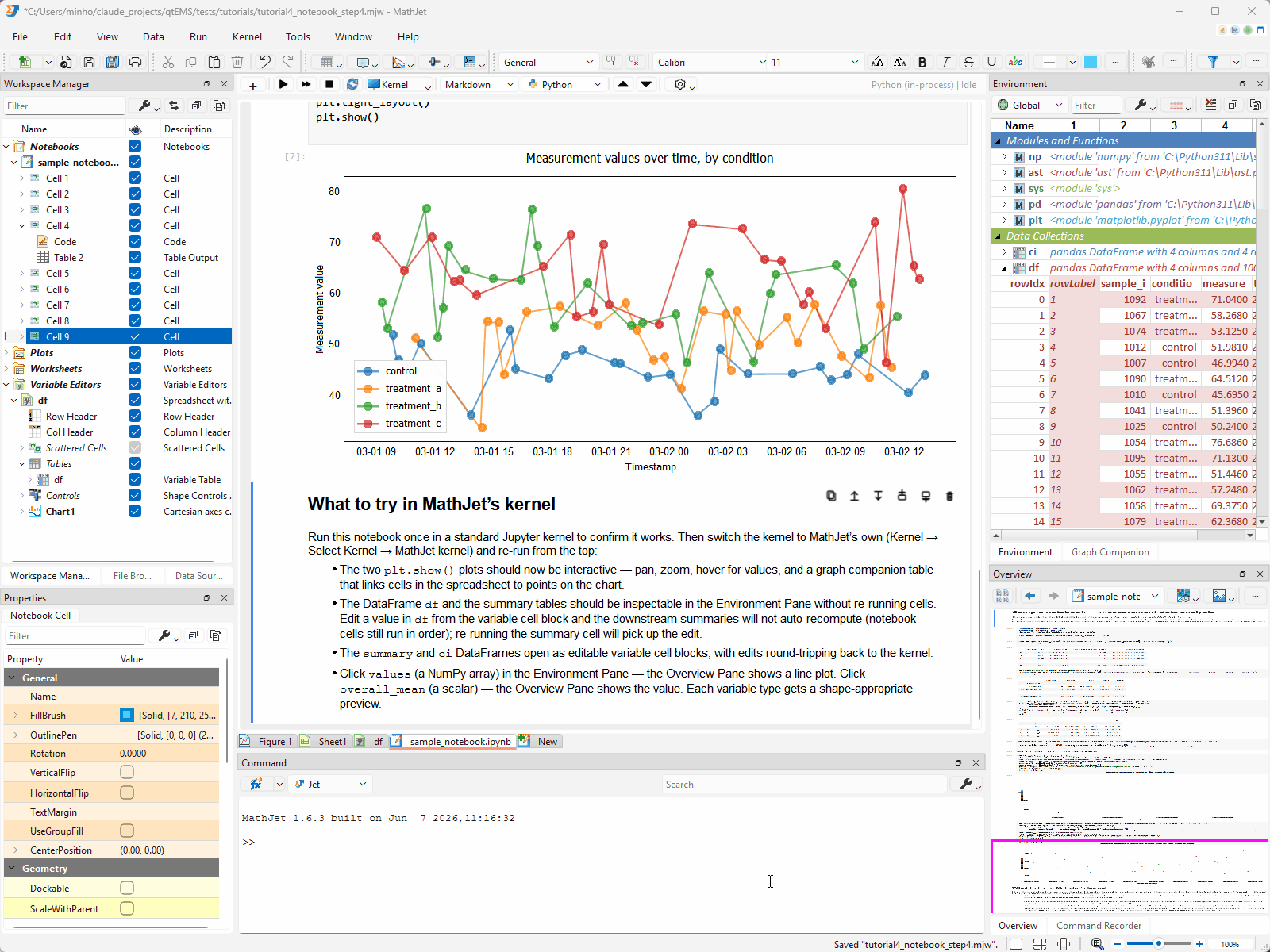 Adding an R cell to the notebook: the user clicks + to add a cell, switches the language selector from Python to R, types summary(df), and runs the cell — R's summary of the notebook's pandas DataFrame prints below. Then in the Command Editor at the bottom, switching to Jet and typing size(df) returns the matrix dimensions. The notebook, the Command Editor, and the worksheet all share the same variable namespace.
