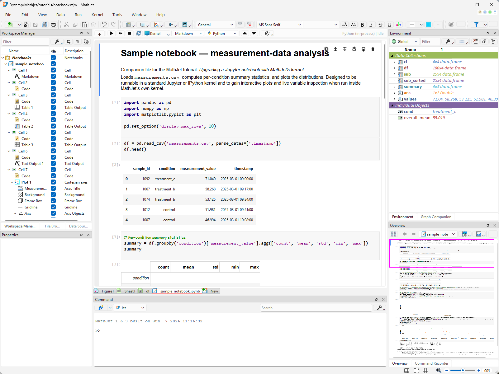 The saved jupyter-upgrade.mjw workspace after reopening. The notebook editor tab shows the .ipynb with all outputs intact; the worksheet tab shows the DataFrame variable cell block and any charts; the Environment Pane shows the restored variables. Everything is in the state it was saved in, with no cell re-execution needed.